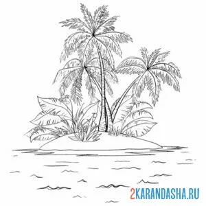 Раскраска много пальм на острове онлайн