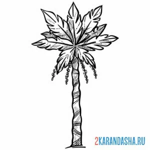 Раскраска пальма без кокоса онлайн