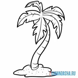 Раскраска пальма на маленьком острове онлайн