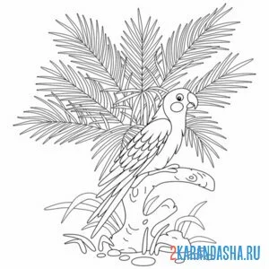 Раскраска попугай и пальма онлайн