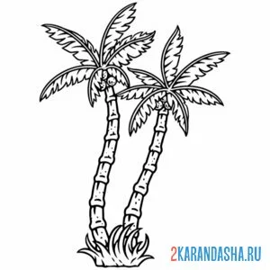 Раскраска простые пальмы онлайн