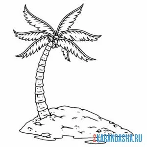 Раскраска пальма с кокосами онлайн