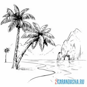 Раскраска скала и пальмы онлайн