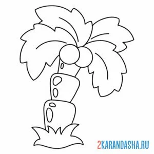 Раскраска толстая пальма и кокосы онлайн
