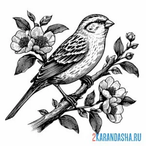 Раскраска воробей птичка на цветущем дереве онлайн
