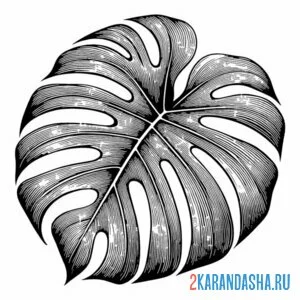 Раскраска большой пальмовый лист онлайн