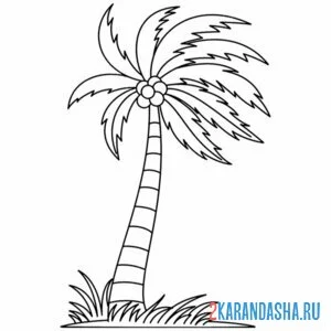 Раскраска ветер и пальма онлайн