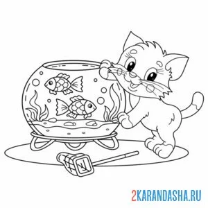 Раскраска котик играет с рыбками в аквариуме онлайн