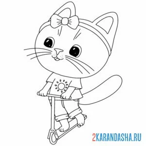Раскраска котик на самокате онлайн