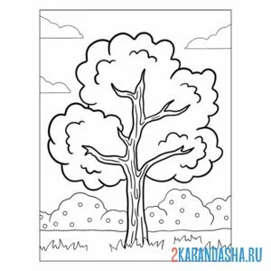 Раскраска летнее дерево онлайн