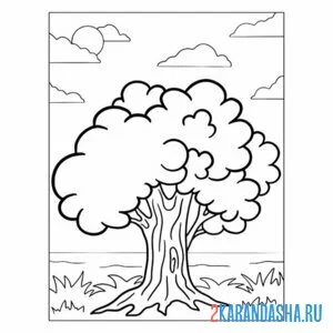 Раскраска большой дуб дерево онлайн
