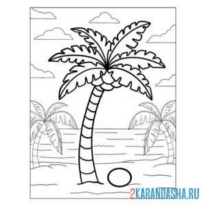 Раскраска дерево жарких стран пальма онлайн