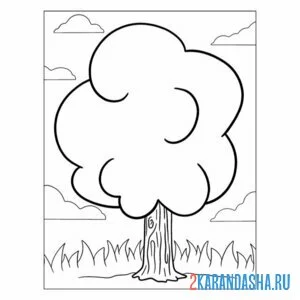 Раскраска осина дерево онлайн