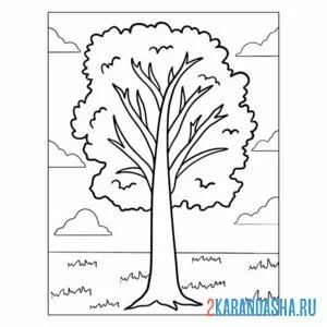 Раскраска каштан дерево онлайн