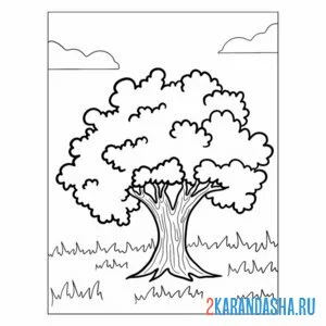 Раскраска клен дерево онлайн