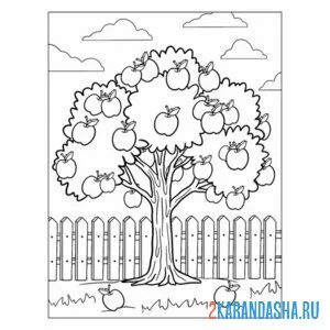 Раскраска яблоня в саду дерево онлайн