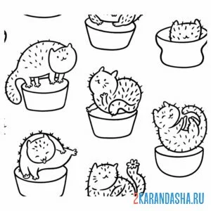 Раскраска кото-кактусы онлайн