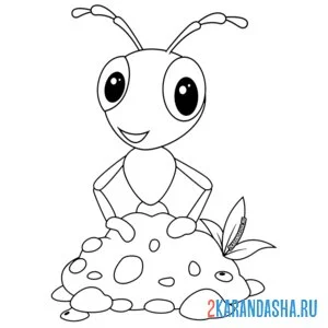 Раскраска муравей и камушки онлайн