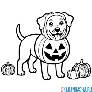 Раскраска собака тыква хэллоуин