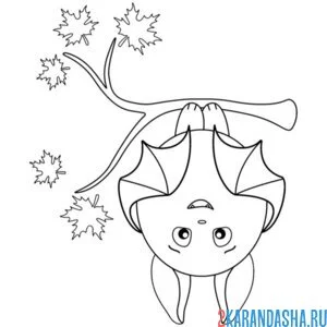 Раскраска летучая мышка висит