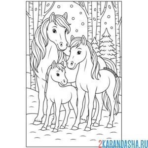 Раскраска семья лошадей