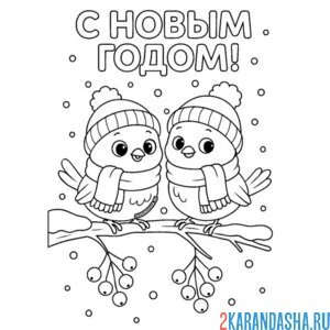 Раскраска птички новогодние на ветке