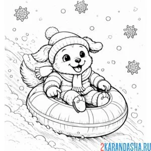 собачка на ватрушке