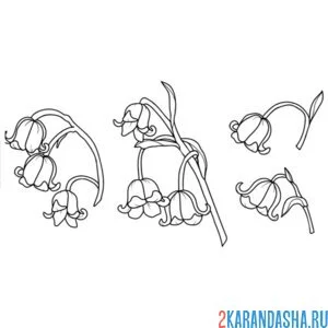 Раскраска ландыши малыши