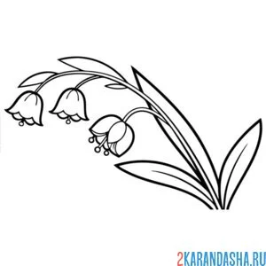 Раскраска ландыши весенние цветы