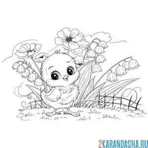 Раскраска цыпленок и ландыши