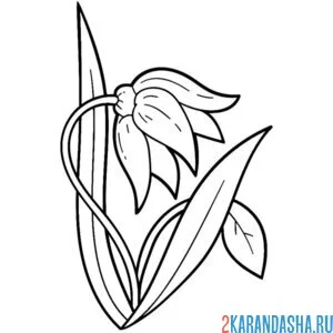 Раскраска один ландыш
