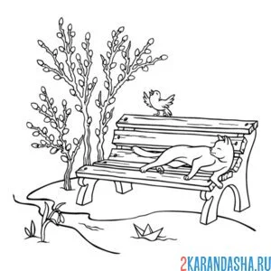 Раскраска дерево вербы в парке