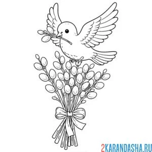 Раскраска голубь мира и верба