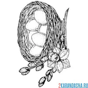 Раскраска верба и гнездо