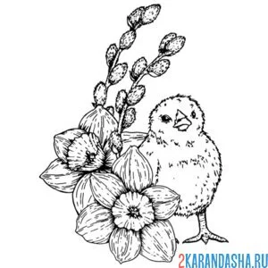 Раскраска малыш цыпленок и верба