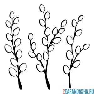 Раскраска пушистая верба