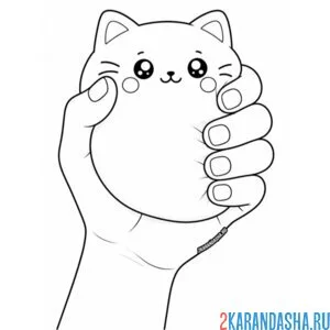 Раскраска сквиши котик в руке