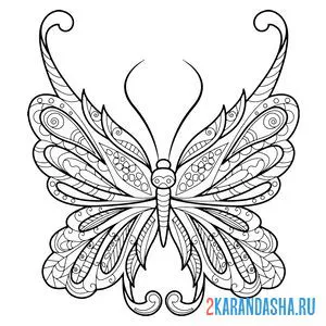 Распечатать раскраску чудесная бабочка на А4