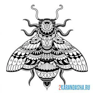Раскраска насекомое муха онлайн