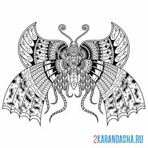Распечатать раскраску бабочка с большими крыльями на А4