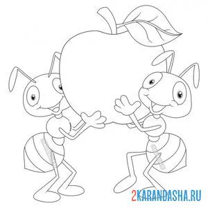 Распечатать раскраску два муравья с яблочком на А4