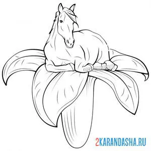 Раскраска милая лошадка на цветке онлайн