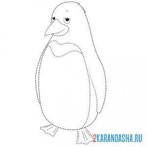 Раскраска пингвин по точкам онлайн