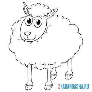 Раскраска пушистая овечка онлайн