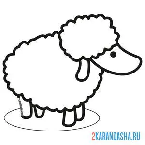 Раскраска профиль овечки онлайн