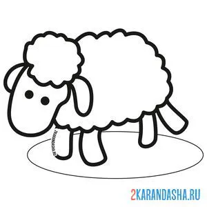 Распечатать раскраску овечка для детей на А4
