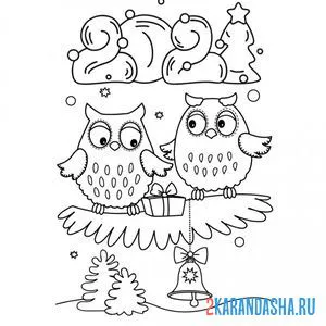 Раскраска совы на еловой ветке