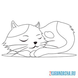 Раскраска кот спит онлайн