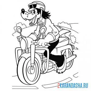 Раскраска разбойник волк на мотоцикле онлайн