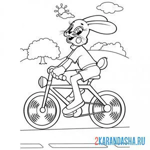 Распечатать раскраску заяц на велосипеде на А4